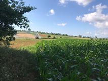 Kandıra Süllü Köyü Resimleri 4