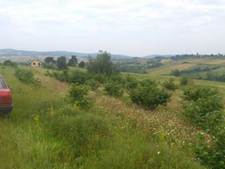 Kandıra Şerefsungur Köyü Resimleri 1