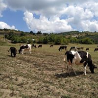 Kandıra Tatarahmet Köyü Resimleri 3