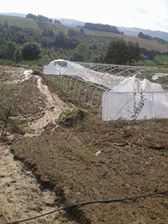 Kandıra Terziler Köyü Resimleri 3