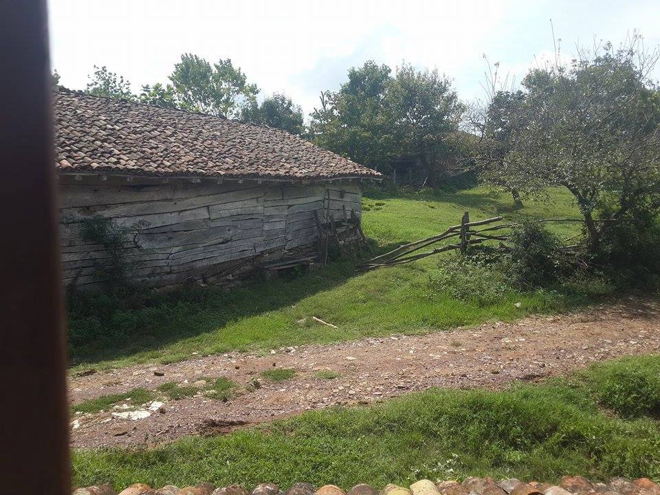 Kandıra Topluca Köyü Resimleri 1