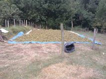 Kandıra Topluca Köyü Resimleri 4