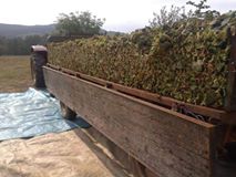 Kandıra Topluca Köyü Resimleri 5