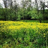 Kandıra Topluca Köyü Resimleri 7