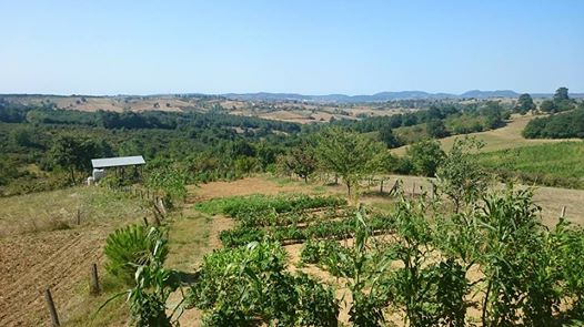 Kandıra Yusufça Köyü Resimleri 5