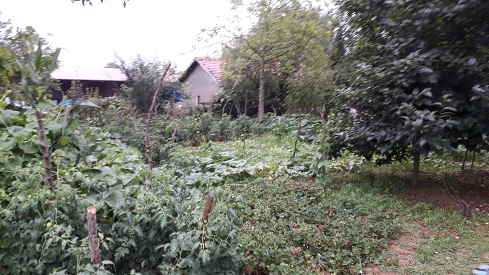 Kandıra Yusufça Köyü Resimleri 8