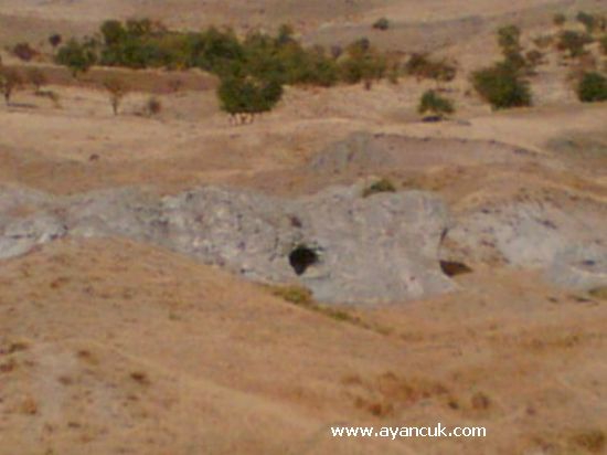Kovancılar Yeşilköy Köyü Resimleri 2