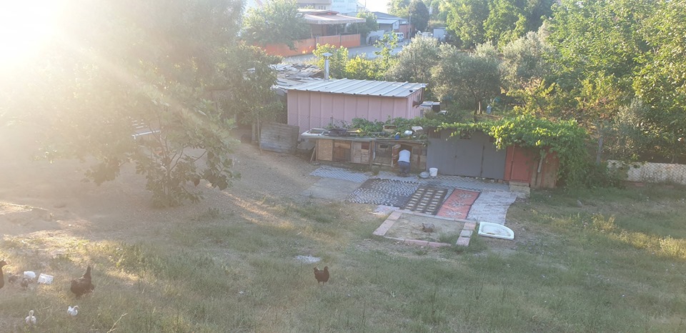 Karamürsel Dereköy Köyü Resimleri 7