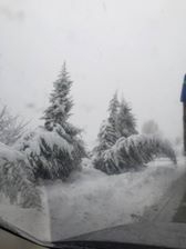 Karamürsel Karaahmetli Köyü Resimleri 3