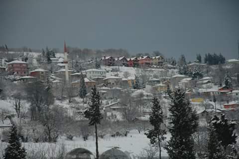 Karamürsel Karaahmetli Köyü Resimleri 7