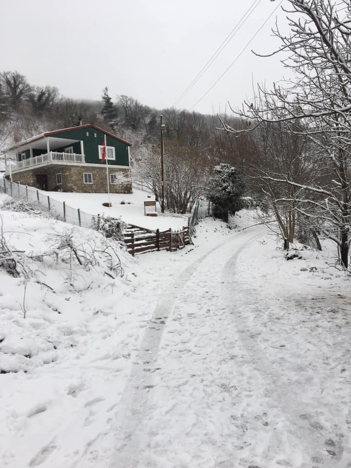 Karamürsel Safiye Köyü Resimleri 3