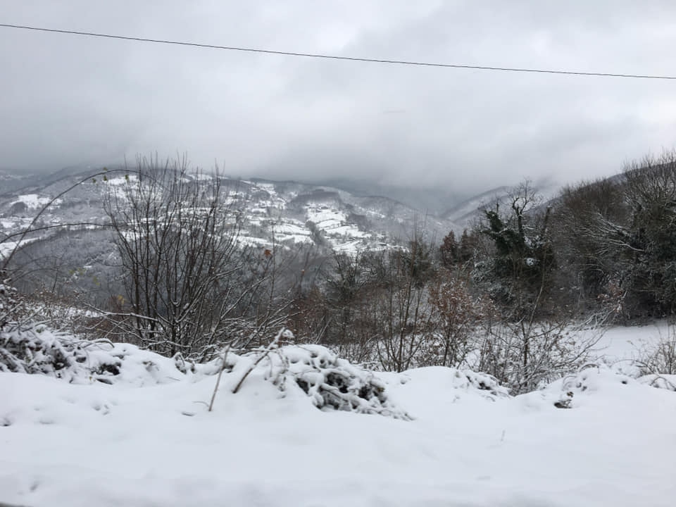 Karamürsel Safiye Köyü Resimleri 4