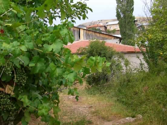 Divriği Madenli Köyü Resimleri 12