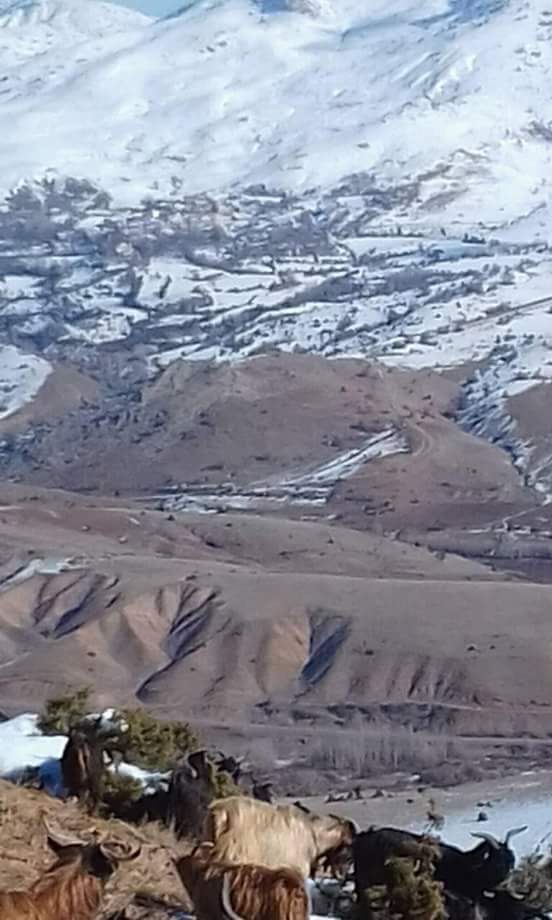 Divriği Madenli Köyü Resimleri 3