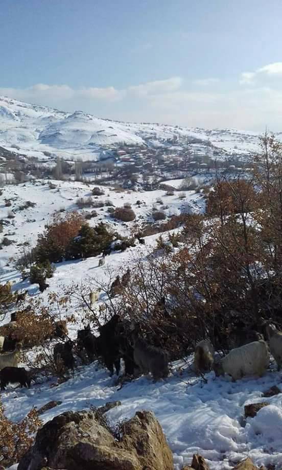 Divriği Madenli Köyü Resimleri 34