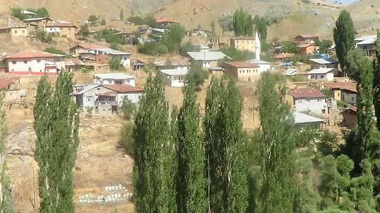 Divriği Maltepe Köyü Resimleri 17