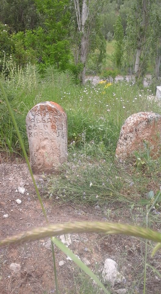 Divriği Maltepe Köyü Resimleri 29