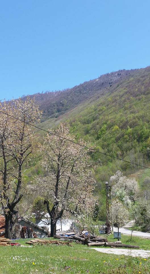Kartepe Pazarçayırı Köyü Resimleri 8