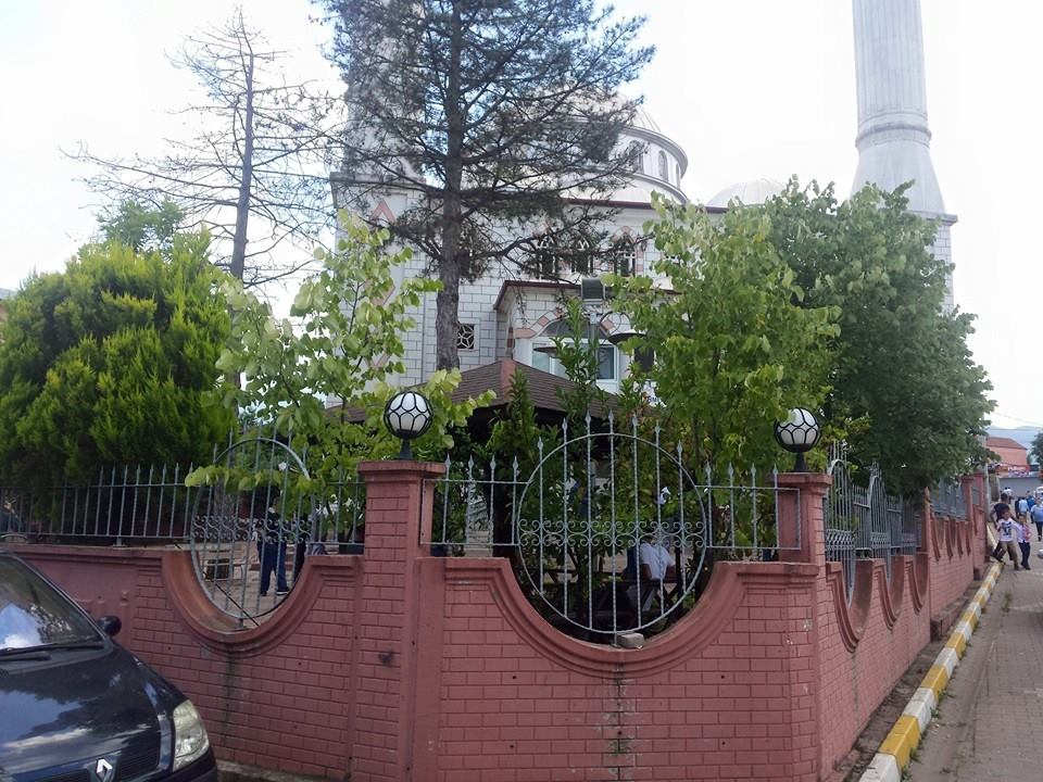 Kartepe Rahmiye Köyü Resimleri 2