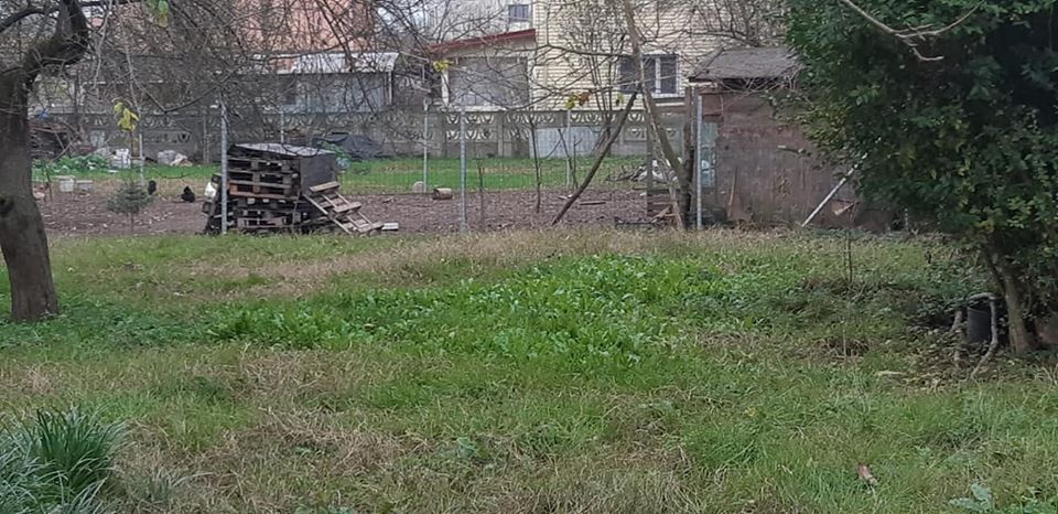 Kartepe Sarımeşe Köyü Resimleri 3