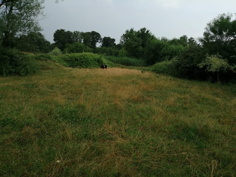 Kartepe Sarımeşe Köyü Resimleri 5