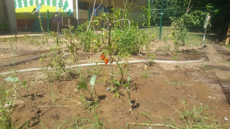 Kartepe Sarımeşe Köyü Resimleri 6