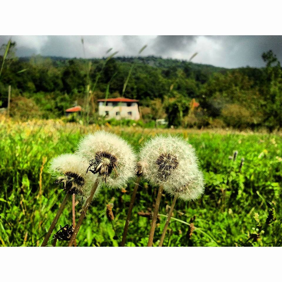 Kartepe Sultaniye Köyü Resimleri 2