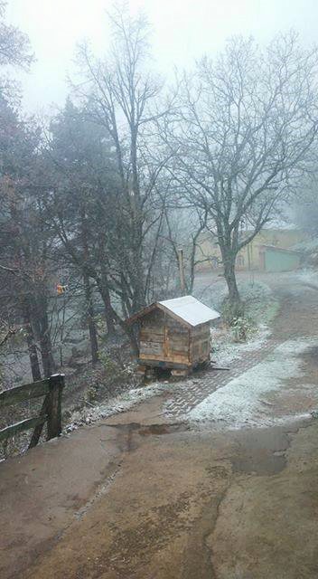 Kartepe Sultaniye Köyü Resimleri 3