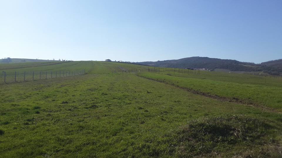 Körfez Cumaköy Köyü Resimleri 6