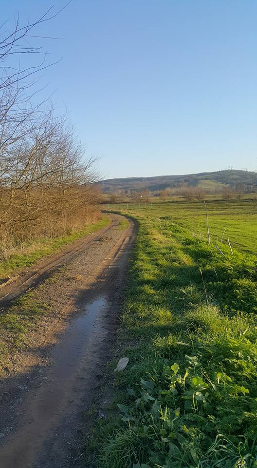 Körfez Cumaköy Köyü Resimleri 7