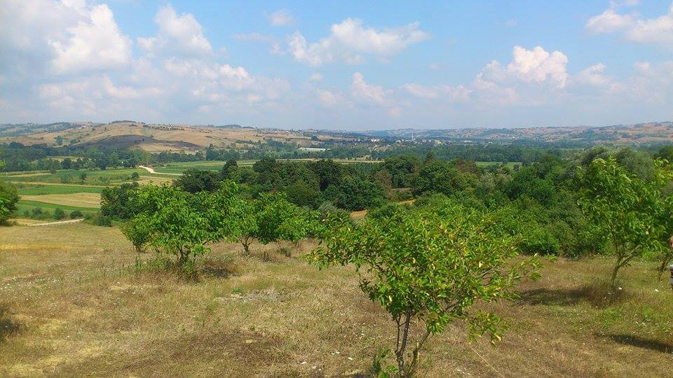 Körfez Çıraklı  Köyü Resimleri 1