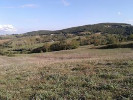 Körfez Çıraklı  Köyü Resimleri 3