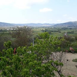 Körfez Çıraklı  Köyü Resimleri 4