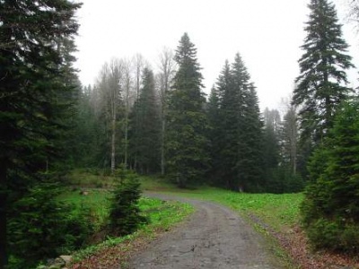 Maden Hanevleri Köyü 2