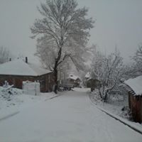 Körfez Dikenli Köyü Resimleri 1