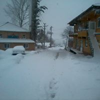 Körfez Dikenli Köyü Resimleri 2