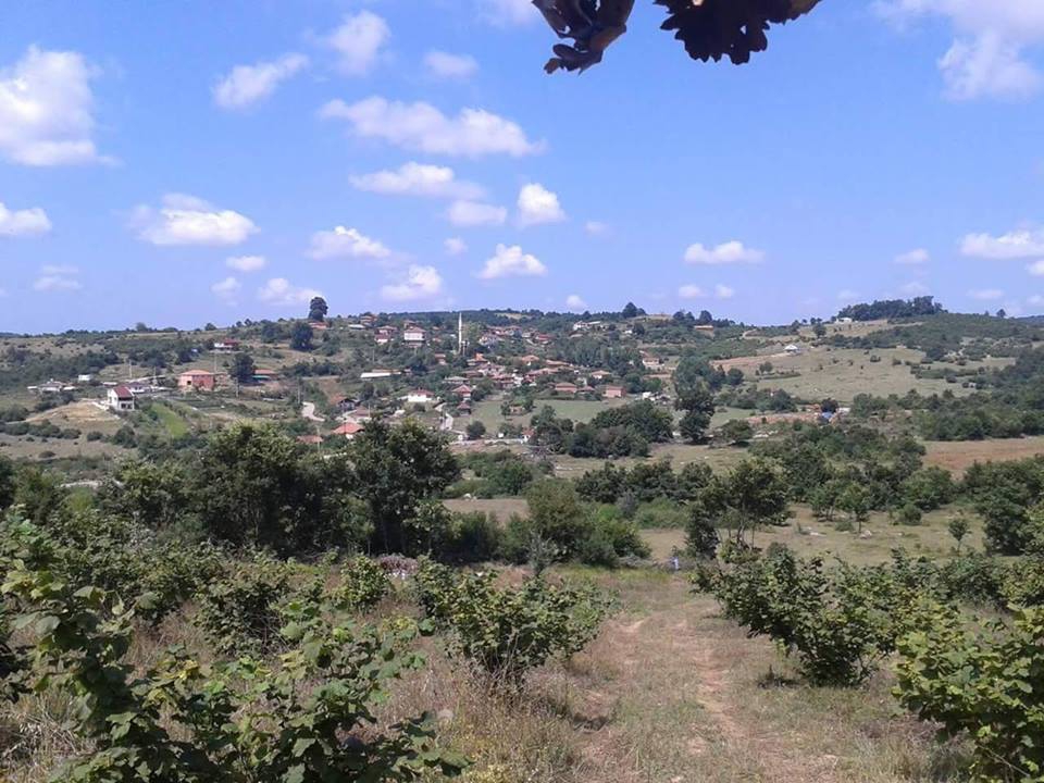 Körfez Dikenli Köyü Resimleri 3