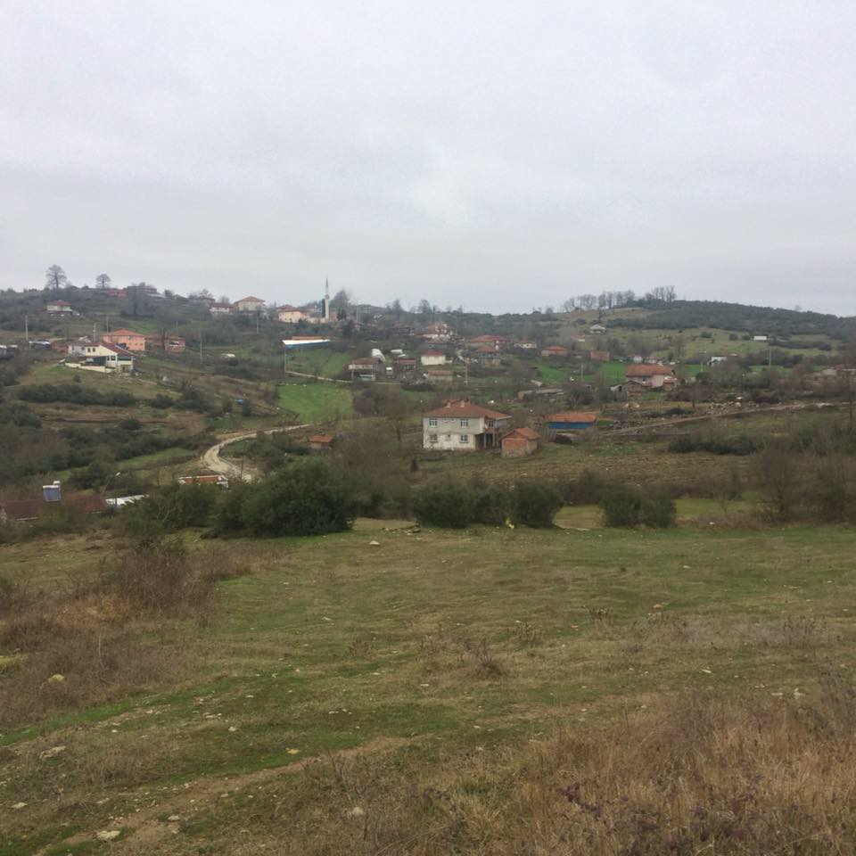 Körfez Dikenli Köyü Resimleri 7