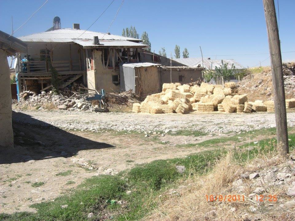 Divriği Oğulbey Köyü Resimleri 18