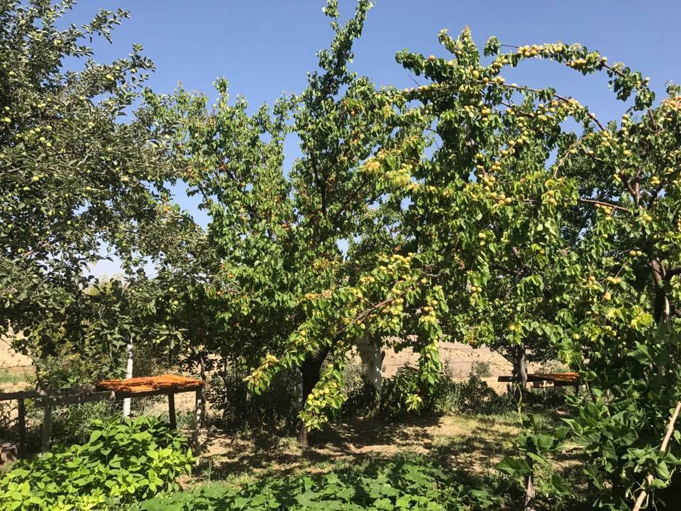 Divriği Oğulbey Köyü Resimleri 19