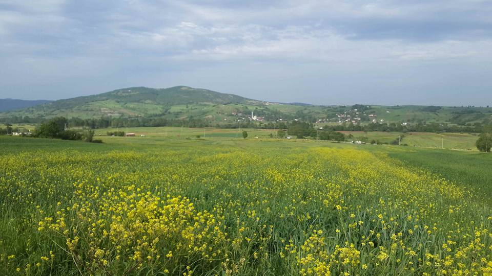 Körfez Sevindikli Köyü Resimleri 1