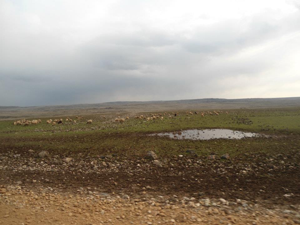 Çermik Akçörten Köyü Resimleri 4