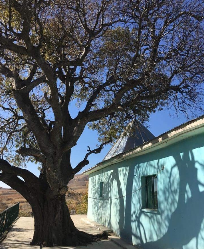 Maden Kartaldere Köyü  Resimleri 2