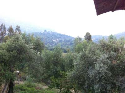 Adana Kozan Ferhatlı Köyü Resimleri 10