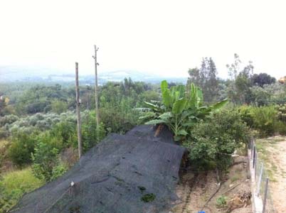 Adana Kozan Ferhatlı Köyü Resimleri 11