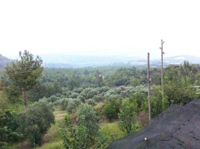 Adana Kozan Ferhatlı Köyü Resimleri 13