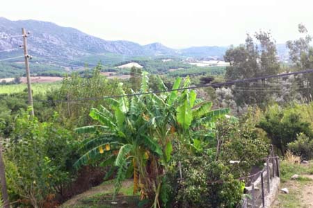 Adana Kozan Ferhatlı Köyü Resimleri 5