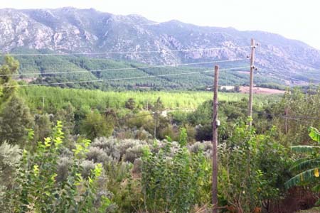 Adana Kozan Ferhatlı Köyü Resimleri 6