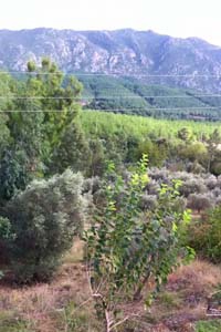 Adana Kozan Ferhatlı Köyü Resimleri 7