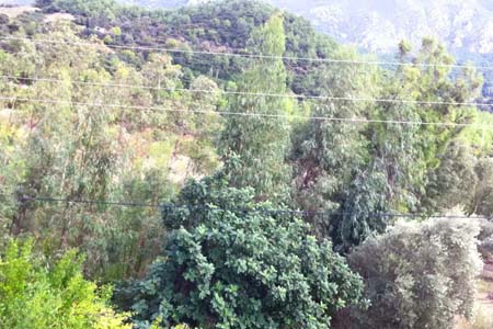 Adana Kozan Ferhatlı Köyü Resimleri 8